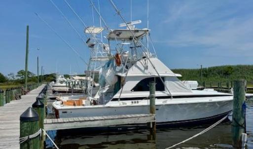 Photo #67 of 39030 STATE LINE RD, GREENBACKVILLE, VA 0.5 acres