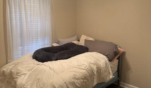 Photo #8 of 5138 SERENITY LN, CHINCOTEAGUE, VA 0.3 acres