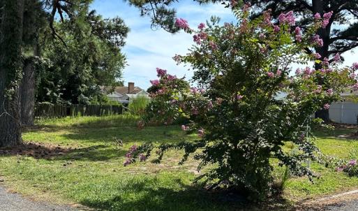 Photo #9 of 5138 SERENITY LN, CHINCOTEAGUE, VA 0.2 acres