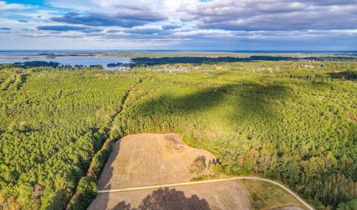 Photo #52 of 24511 TILGHMAN ROAD, ONANCOCK, VA 42.6 acres