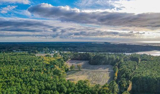 Photo #55 of 24511 TILGHMAN ROAD, ONANCOCK, VA 42.6 acres