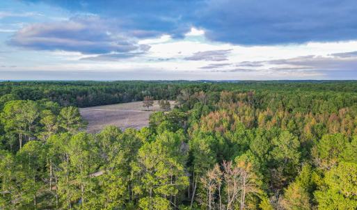 Photo #58 of 24511 TILGHMAN ROAD, ONANCOCK, VA 42.6 acres