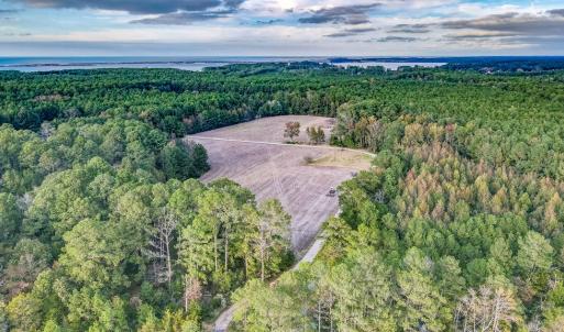 Photo #59 of 24511 TILGHMAN ROAD, ONANCOCK, VA 42.6 acres