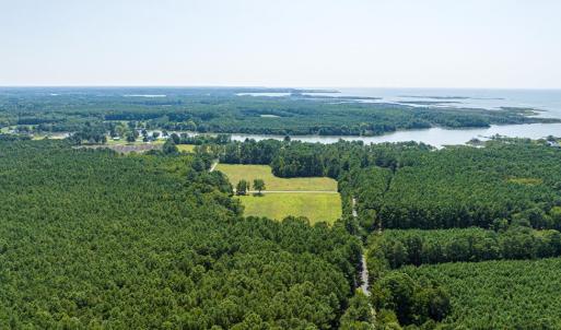 Photo #85 of 24511 TILGHMAN ROAD, ONANCOCK, VA 42.6 acres