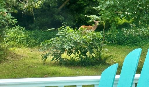 Photo #22 of 3618 WILLOW ST, CHINCOTEAGUE, VA 0.1 acres