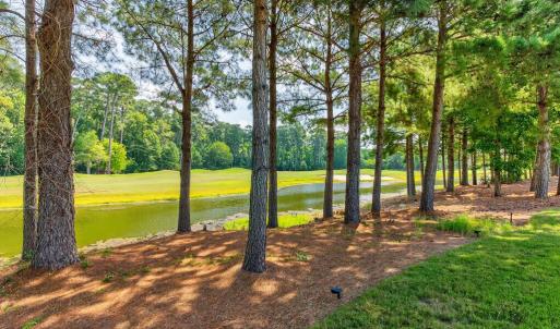 Photo #37 of 192 OLD COURSE LOOP, CAPE CHARLES, VA 0.2 acres