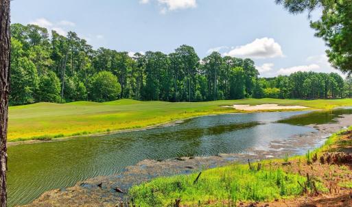 Photo #38 of 192 OLD COURSE LOOP, CAPE CHARLES, VA 0.2 acres