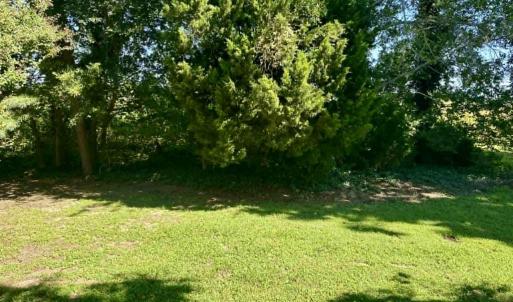 Photo #9 of 9115 BIRDSNEST DR, BIRDSNEST, VA 0.2 acres