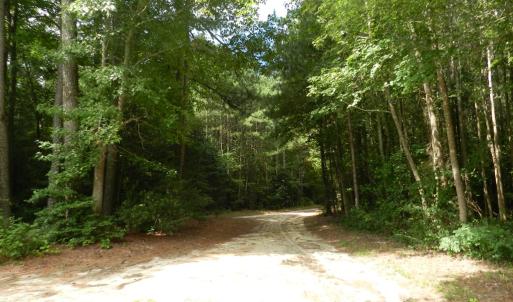 Photo #22 of 11147 HERMITAGE RD, CRADDOCKVILLE, VA 3.1 acres