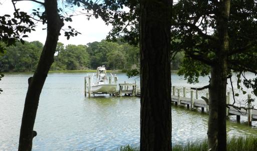 Photo #12 of 11147 HERMITAGE RD, CRADDOCKVILLE, VA 3.1 acres