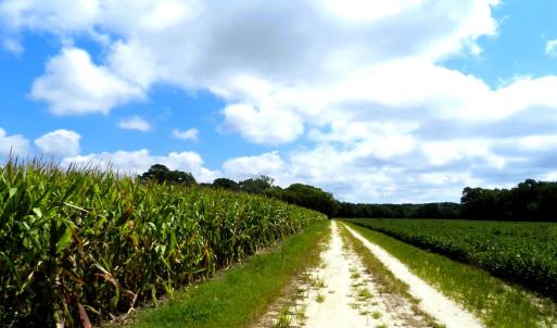 Photo #18 of 11147 HERMITAGE RD, CRADDOCKVILLE, VA 3.1 acres