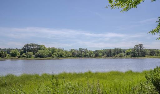 Photo #41 of 19220 MINK FARM RD, ONANCOCK, VA 6.2 acres