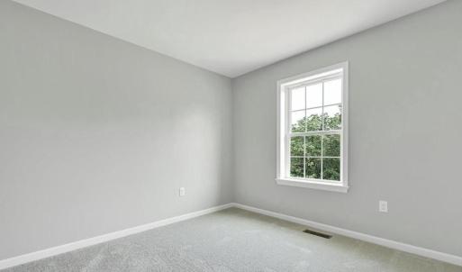 Photo #18 of 36 BRIGANTINE BLVD, GREENBACKVILLE, VA 65.0 acres