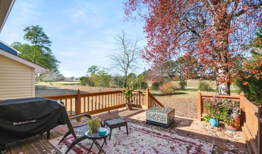 Photo #30 of 3126 CAPTAINS CORRIDOR, GREENBACKVILLE, VA 10.0 acres