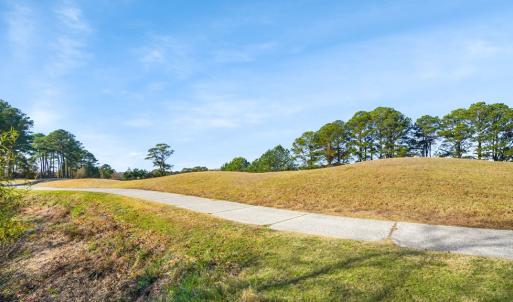 Photo #38 of 3126 CAPTAINS CORRIDOR, GREENBACKVILLE, VA 10.0 acres