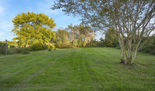 Photo #36 of 32600 NOCKS LANDING RD, ATLANTIC, VA 29.0 acres