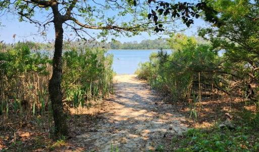 Kayak launch on Plantation Creek