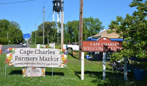 Saturday's Farmers Market