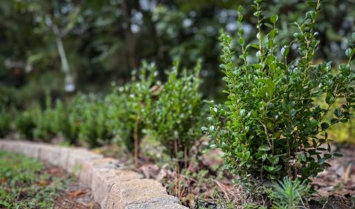 Photo #13 of 8 ENGLISH CT, CAPE CHARLES, VA 20,797.0 acres