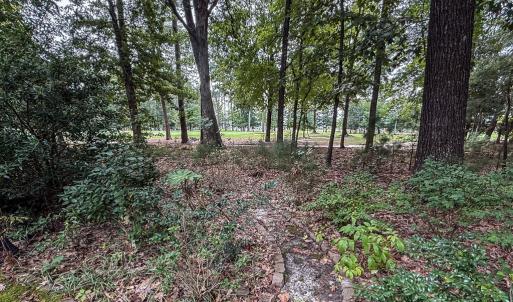 Photo #15 of 8 ENGLISH CT, CAPE CHARLES, VA 20,797.0 acres