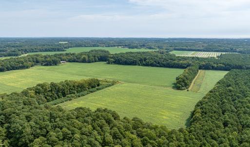Farm/Woods