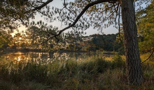 Photo #36 of 7261 HALLIDON DR, FRANKTOWN, VA 100.7 acres