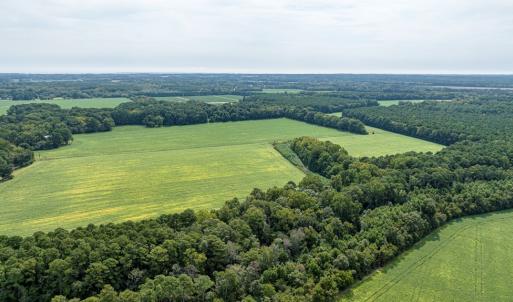 Farm/Woods