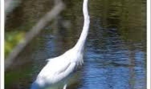 Photo #31 of 20188 ALLEN LN, ONANCOCK, VA 0.5 acres