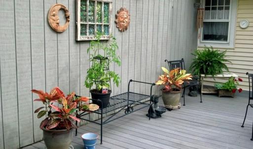12 x 25 deck off living/dining area