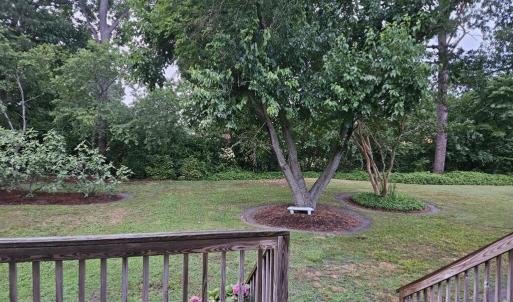 Private backyard from both bedrooms