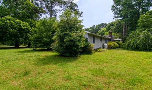 Side & Back yard