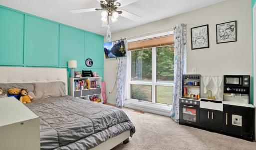 Photo #26 of 2235 BRIGANTINE BLVD, GREENBACKVILLE, VA 21.0 acres