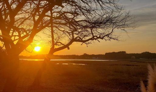 Photo #54 of 6309 HIGHLAND PARK DR, CHINCOTEAGUE, VA 33.0 acres
