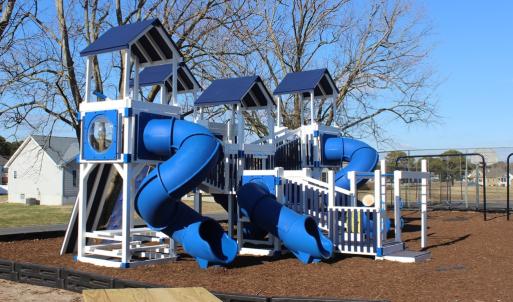 Photo #52 of 37406 DAVEY JONES BLVD, GREENBACKVILLE, VA 80.0 acres