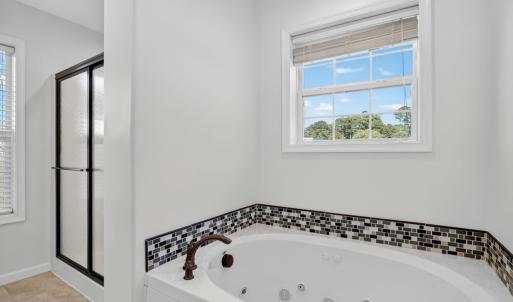 Photo #29 of 3079 MERIDIAN DR, GREENBACKVILLE, VA 27.0 acres