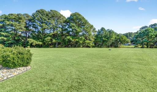 Photo #52 of 3079 MERIDIAN DR, GREENBACKVILLE, VA 27.0 acres