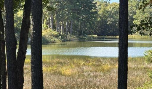 Photo #48 of 10450 PHEASANT RUN DR, EXMORE, VA 1.2 acres