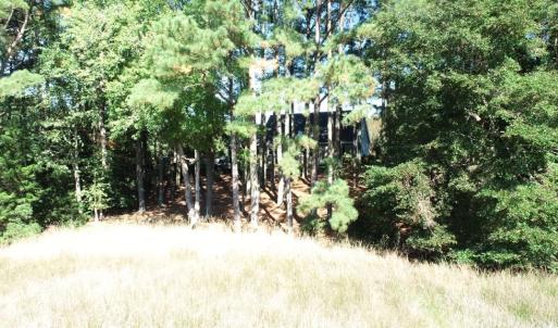 Photo #29 of 10450 PHEASANT RUN DR, EXMORE, VA 1.2 acres