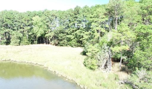 Photo #31 of 10450 PHEASANT RUN DR, EXMORE, VA 1.2 acres