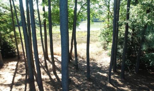 Photo #34 of 10450 PHEASANT RUN DR, EXMORE, VA 1.2 acres