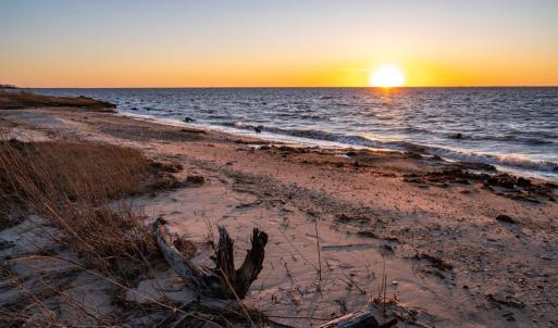 Photo #40 of 8140 WAYNE DR, SAXIS, VA 1.0 acres