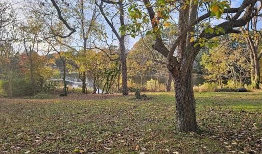 Photo #55 of 11 PARKER ST, ONANCOCK, VA 2.5 acres