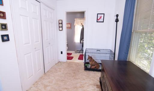 Photo #40 of 35257 CATS POINT LANE, QUINBY, VA 9.5 acres