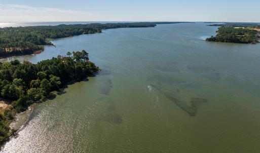 Photo #4 of 35257 CATS POINT LANE, QUINBY, VA 9.5 acres