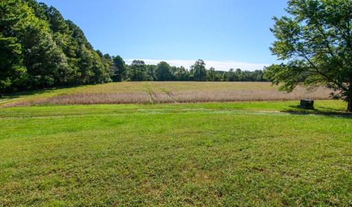 Photo #44 of 35257 CATS POINT LANE, QUINBY, VA 9.5 acres