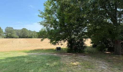 Photo #67 of 35257 CATS POINT LANE, QUINBY, VA 9.5 acres