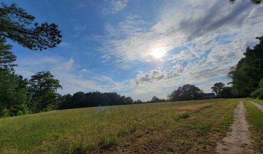 Photo #69 of 35257 CATS POINT LANE, QUINBY, VA 9.5 acres