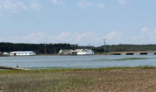 Photo #78 of 35257 CATS POINT LANE, QUINBY, VA 9.5 acres