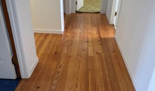 Photo #93 of 35257 CATS POINT LANE, QUINBY, VA 9.5 acres