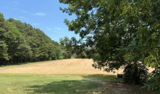 Photo #96 of 35257 CATS POINT LANE, QUINBY, VA 9.5 acres